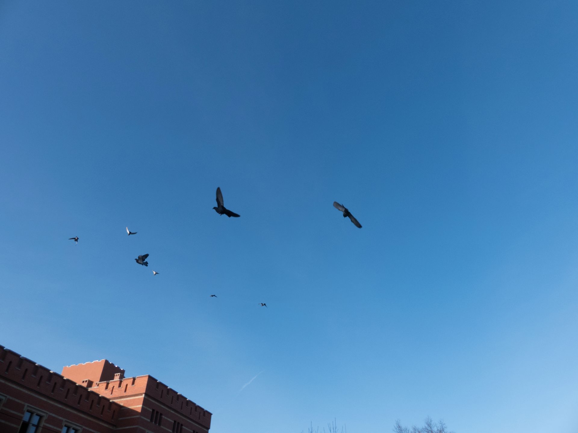 Panasonic Lumix FZ300 - test aparatu z ogniskową 600 mm, światłem f/2.8 i filmami 4K 87