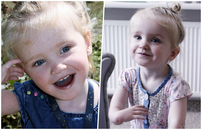 Tola posiada jednokomorowe serce 