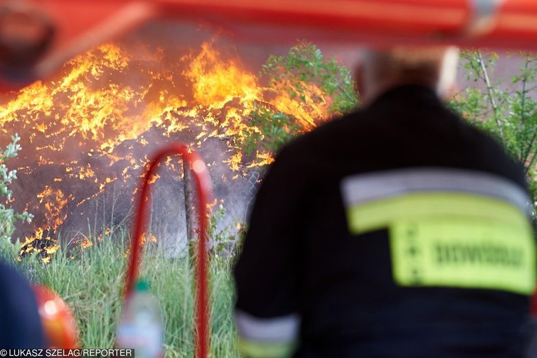 Rząd wypowiada wojnę mafii śmieciowej. Będą zmiany w prawie