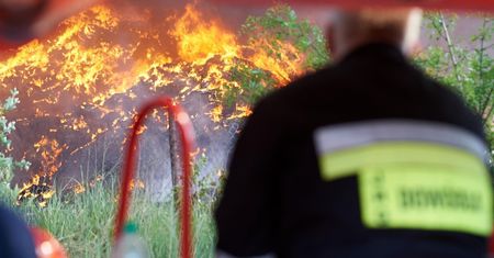 Rząd wypowiada wojnę mafii śmieciowej. Będą zmiany w prawie