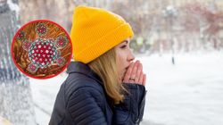 Mróz zabija wirusy i bakterie? Możesz być zaskoczony, jak na nie działa