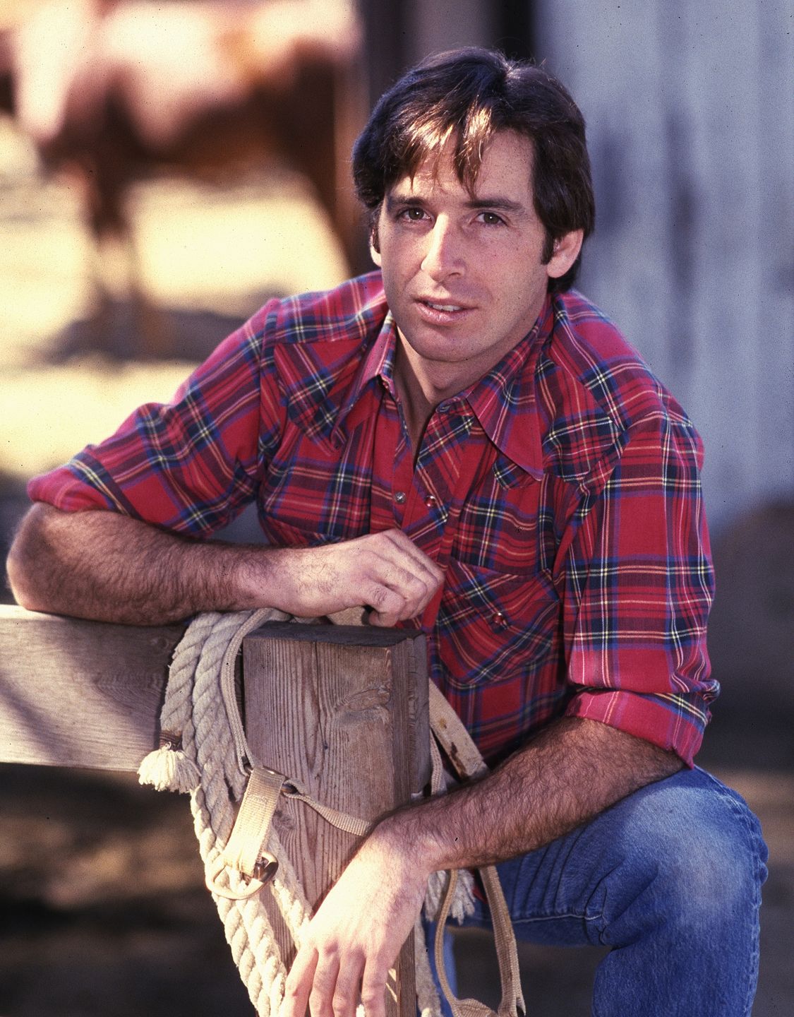 Robert Carradine