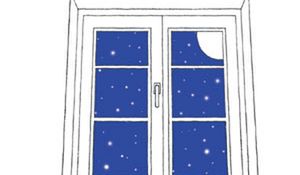 Lady Ironii uśmiechy w typowo walijskim kurzu bibliotecznym odkryte