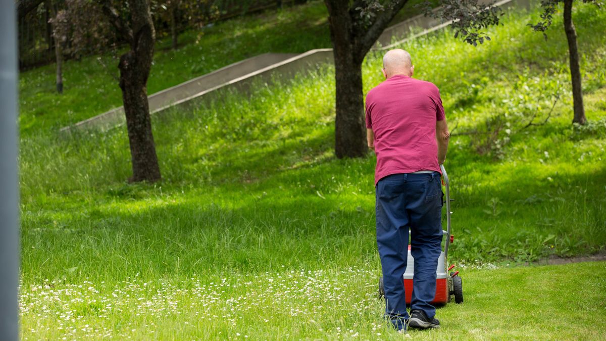 trawa koszenie trawy mężczyzna kosiarka park 