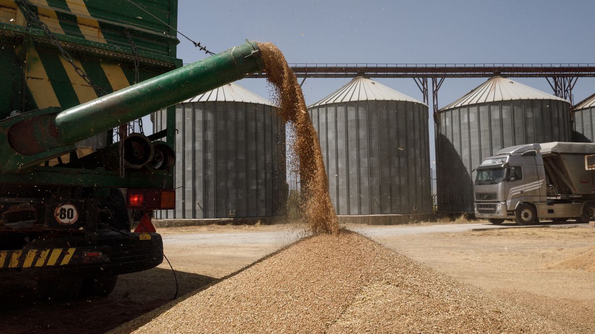 Grecja otwiera się na ukraińskie zboże