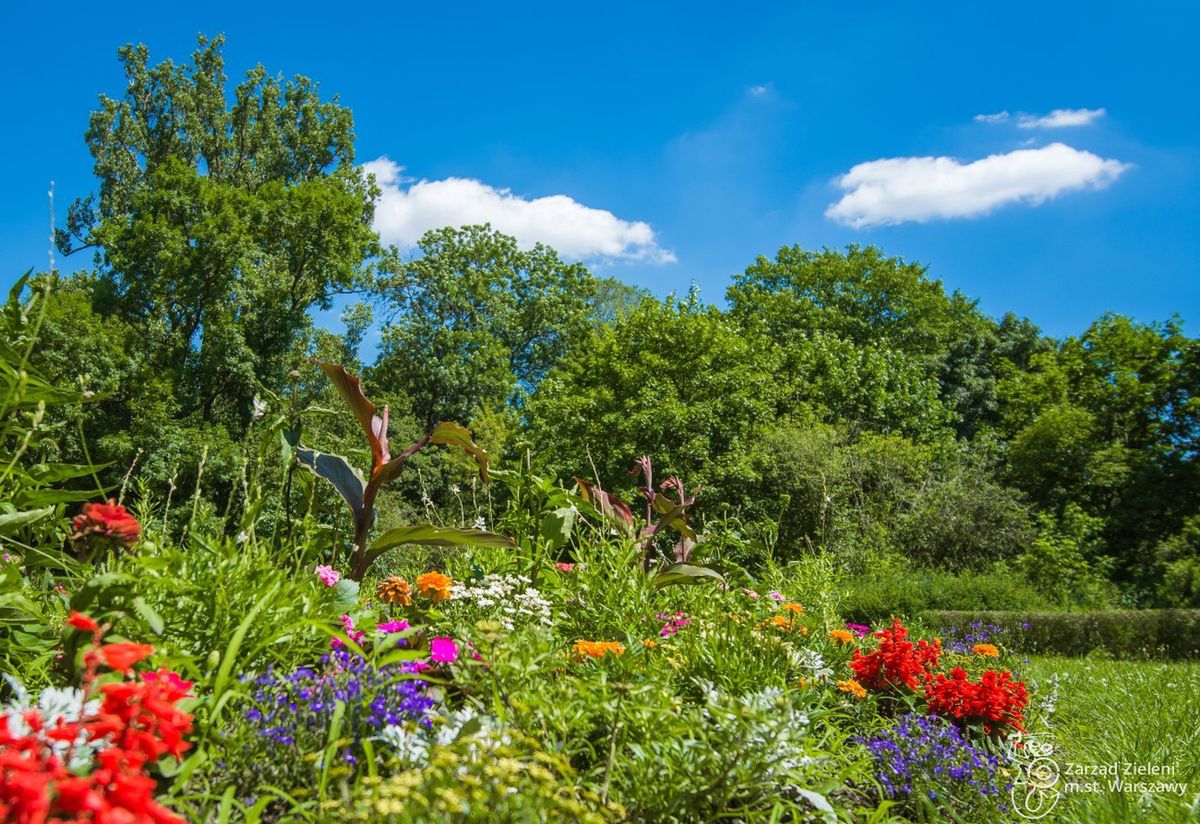 Warszawa. Park Skaryszewski w kwiatach. Zarząd Zieleni posadził nowe rośliny