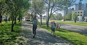 Będzie czuwać nad inwestycjami w Krakowie. Chce "zatrzymać betonozę"