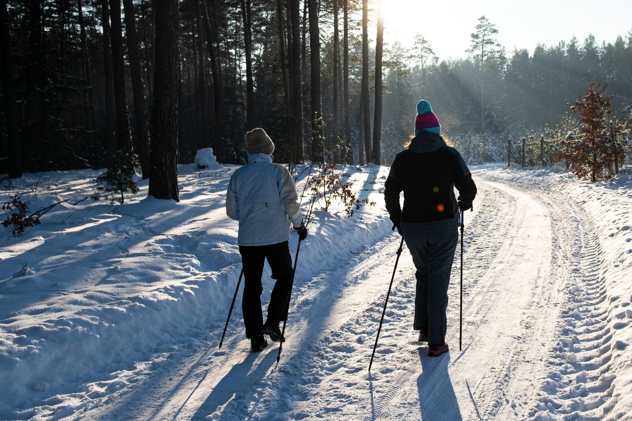 Mroźna zima rozwiąże problem komarów i kleszczy? Ekspert nie ma złudzeń