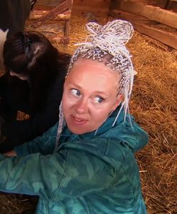 "Farma". Pierwsza kłótnia za nami. Poszło o dojenie krowy