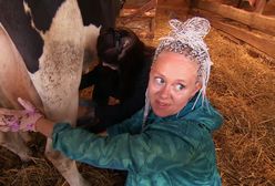 "Farma". Pierwsza kłótnia za nami. Poszło o dojenie krowy