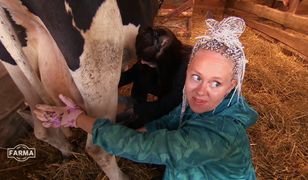 "Farma". Pierwsza kłótnia za nami. Poszło o dojenie krowy