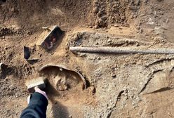 Szczątki z II wojny światowej na polu uprawnym. Odkrycie polskich archeologów