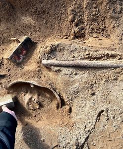 Szczątki z II wojny światowej na polu uprawnym. Odkrycie polskich archeologów