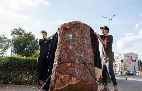 W Warszawie odsłonięto Pomnik Niszczenia Przyrody
