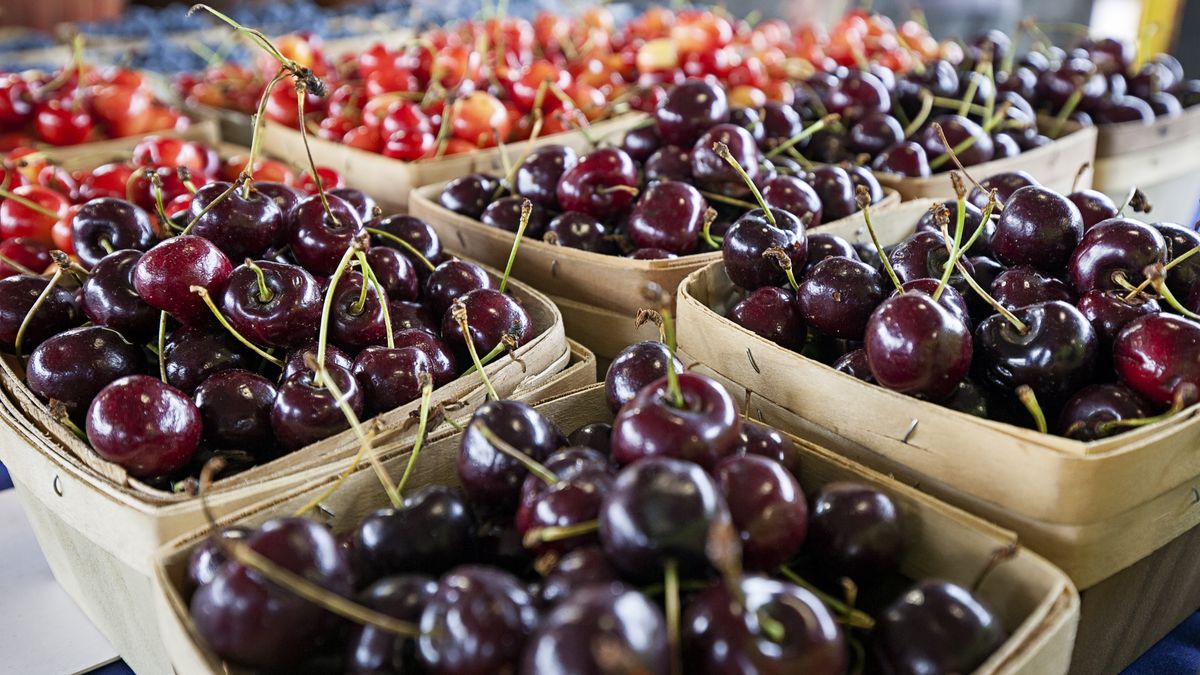 Ile będą kosztowały czereśnie?