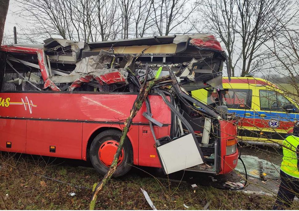 Autobus szkolny uderzył w drzewo. Poważny wypadek pod Szamotułami 