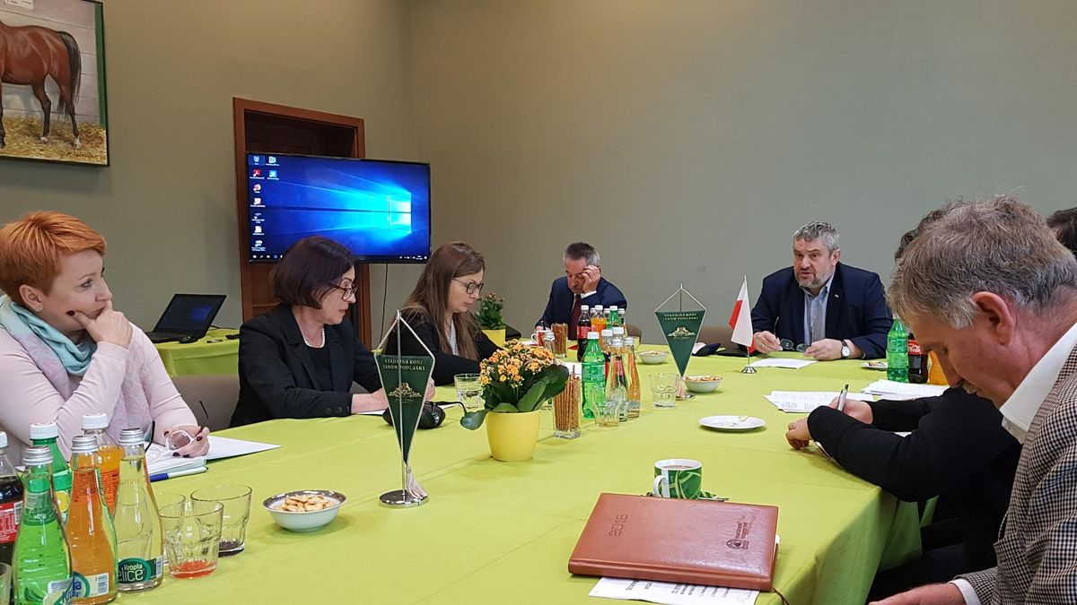 Decyzją ministra rolnictwa wraca wspólna data aukcji koni arabskich i narodowego czempionatu