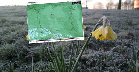 Przymrozki i śnieg. Pogoda spłata nam figla
