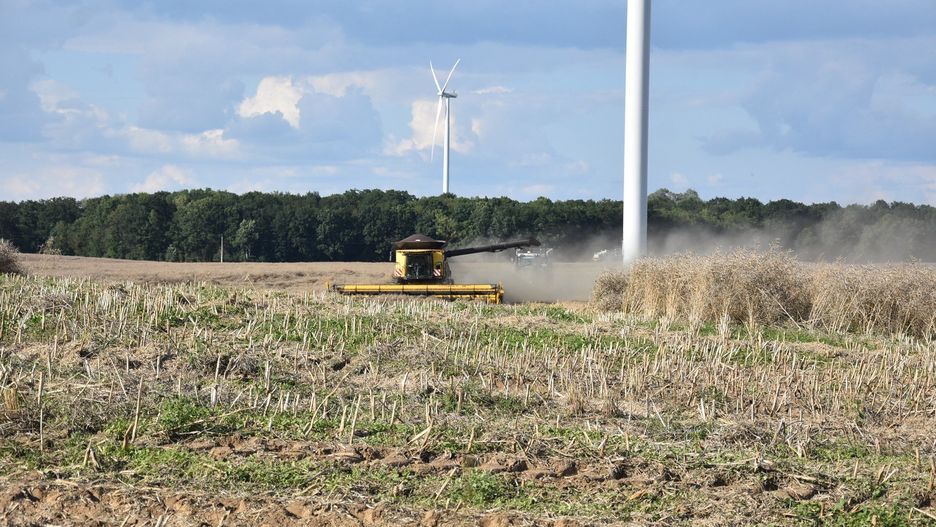 Wypłata zaliczek dopłat bezpośrednich ruszy 16 października.
