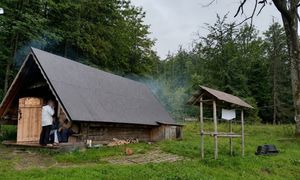 Baca ukarany mandatem. Interwencja Straży Leśnej