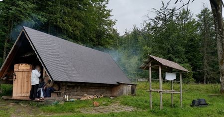 Baca ukarany mandatem. Interwencja Straży Leśnej
