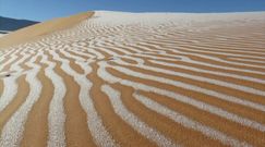 Sahara zasypana śniegiem. Niewiarygodne nagranie z serca pustyni