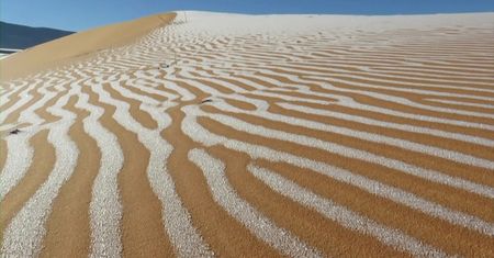Sahara zasypana śniegiem. Niewiarygodne nagranie z serca pustyni