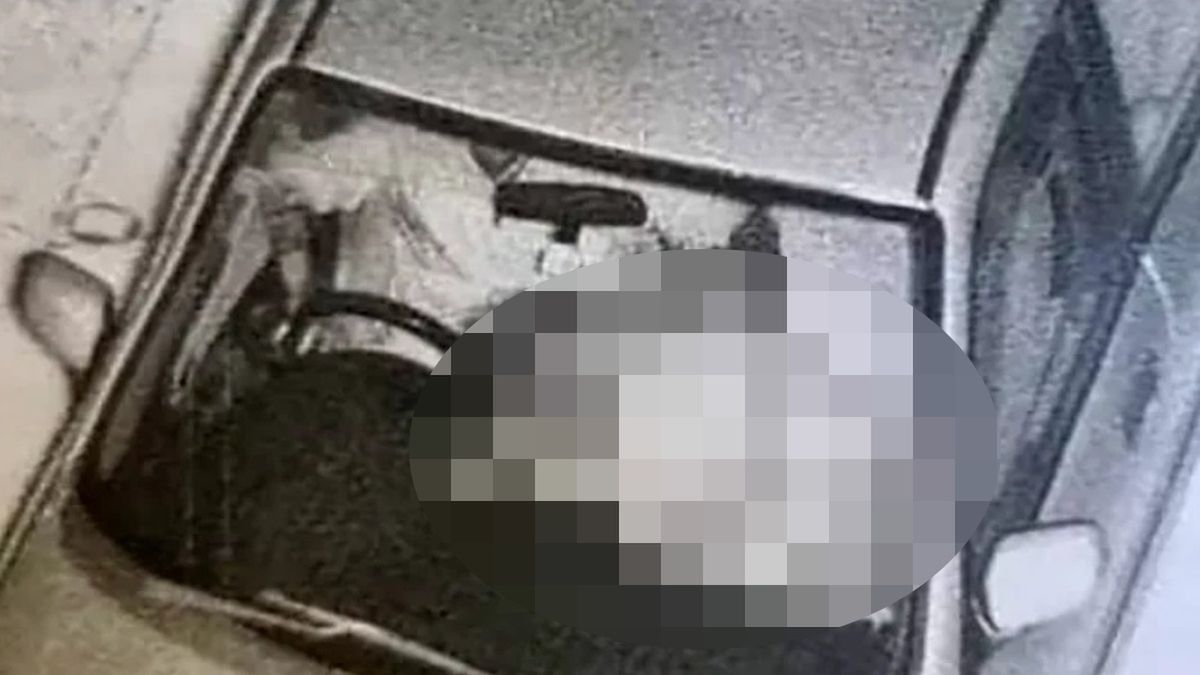 Media społecznościowe obiegło zaskakujące zdjęcie z przydrożnej kamery