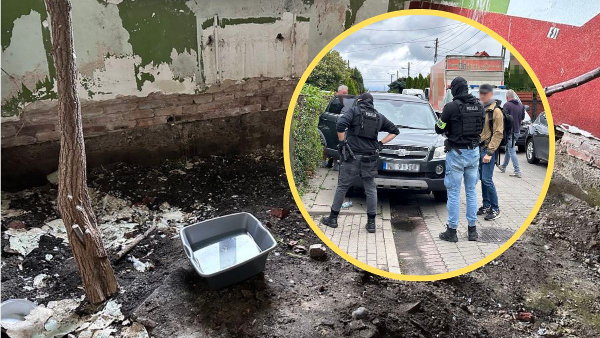  Mężczyzna trzymał egzotyczne zwierzęta w mieszkaniu