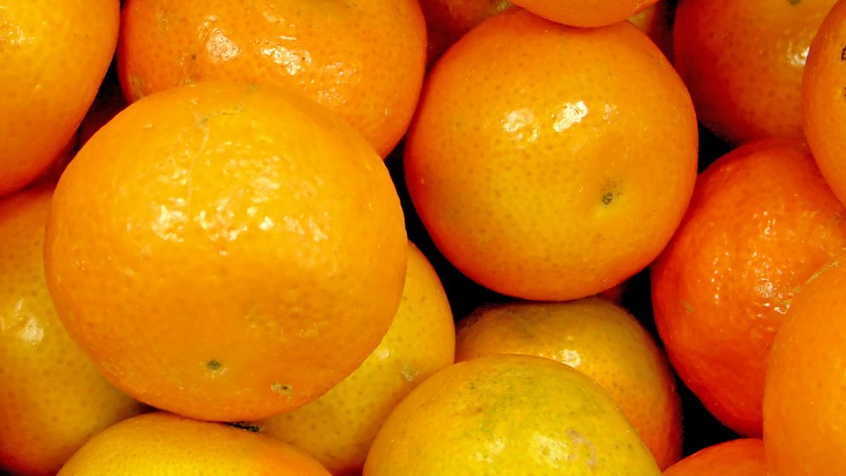 Klementynki. Czym są i skąd pochodzą?