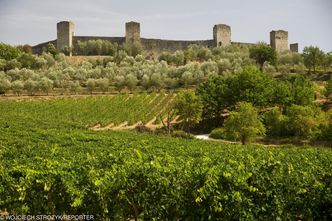 Zaczyna się polowanie. Ostatnie wycieczki na majówkę