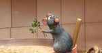 Ratatouille z cytryną i bazylią według przepisu Karola Okrasy