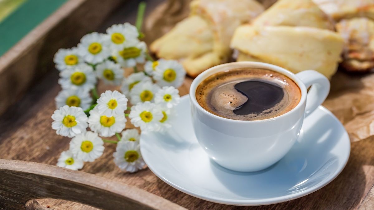 Kawa. Fot. AdobeStock