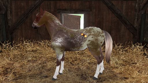Planet Horse