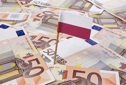 Euro poniżej 4,25 zł. Złoty najmocniejszy od roku
