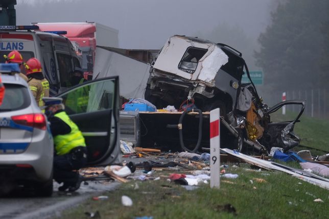 Przyczyną wypadku najprawdopodobniej było zjechanie busa na przeciwległy pas i czołowe zderzenie z innym pojazdem