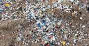 USA. Tony mikroplastiku w parkach narodowych. Wyniki badań są przerażające