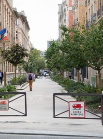 Healthy, quiet and emission-free. Paris to become city for pedestrians
