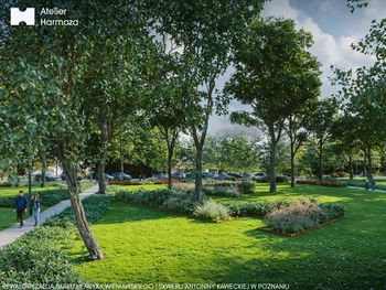 Poznań: Miasto zaprasza do konsultacji w sprawie rewaloryzacji parku