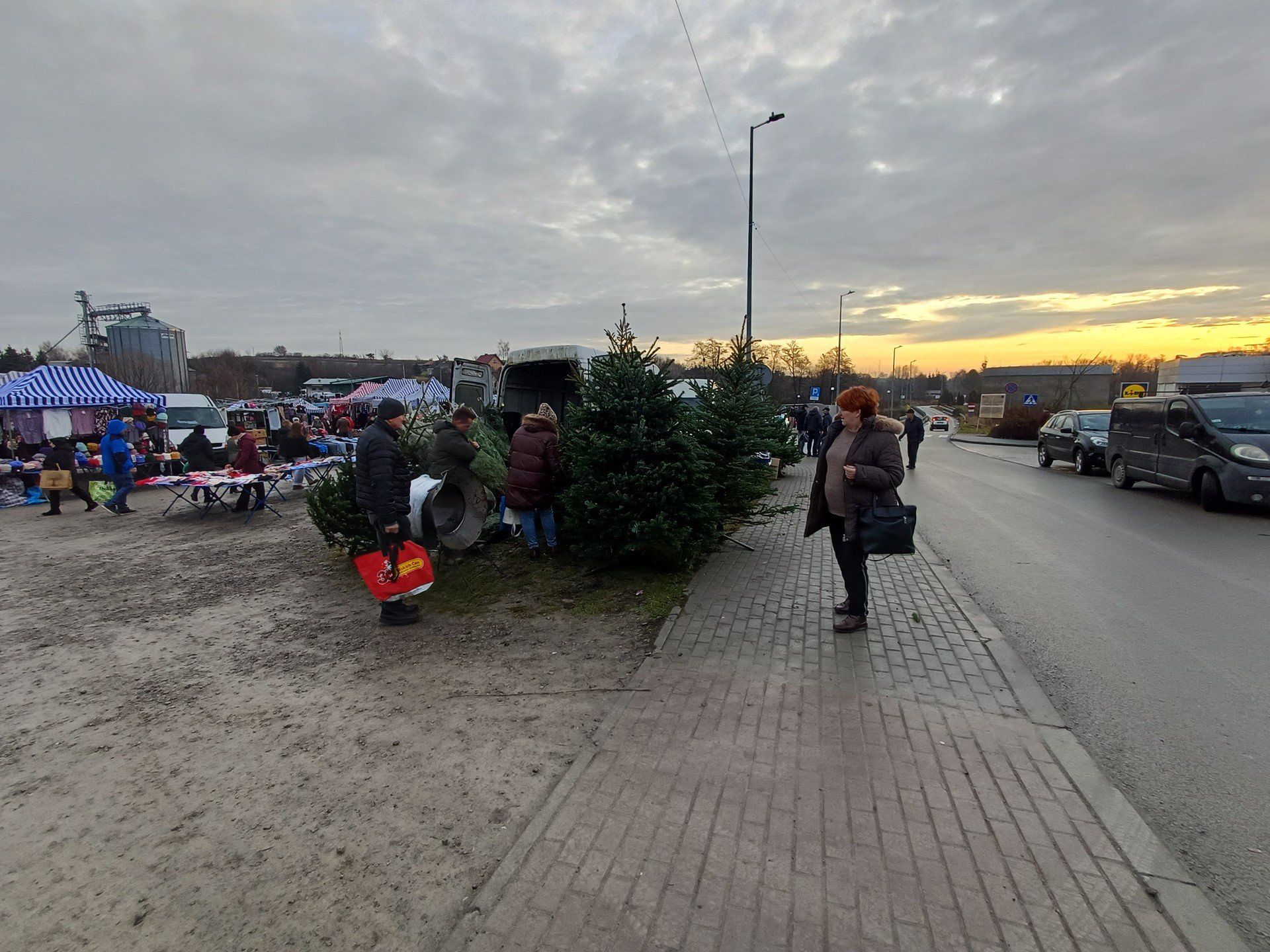 Żywe choinki kosztowały do 160 złotych 