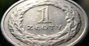 Złoty odrabia straty po największej zapaści w tym roku