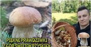Czytelnik pokazał wysyp grzybów. Zebrał 30 dorodnych prawdziwków