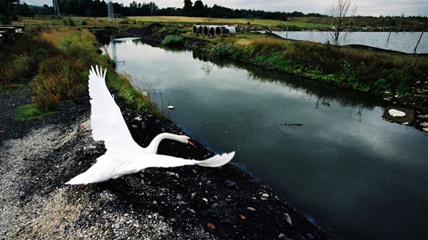 Górny Śląsk górą! Fotografie Arkadiusza Goli [inspiracje] 1