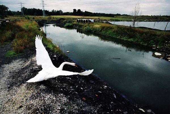 Górny Śląsk górą! Fotografie Arkadiusza Goli [inspiracje]