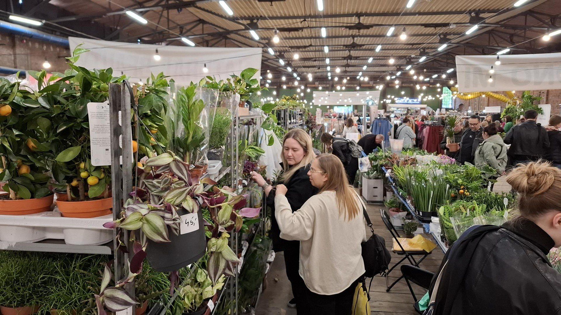 Wrocławskie targi „Kupuj Świadomie” już w ten weekend! Moda, rośliny, design, rzemiosło, jedzenie i koncerty – przyjdź i odkrywaj!