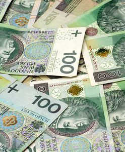 PIT 2020. Kiedy zwrot podatku? Ile trzeba czekać na pieniądze?