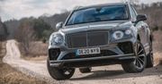 Bentley stawia na prąd. Wiemy, kiedy zadebiutuje pierwszy elektryk marki