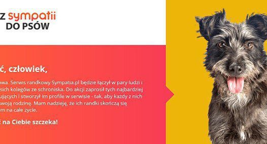 Sympatia.pl zachęca do adopcji psów ze schroniska w akcji #miłośćSZCZEKA