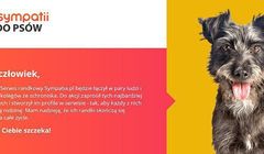 Sympatia.pl zachęca do adopcji psów ze schroniska w akcji #miłośćSZCZEKA