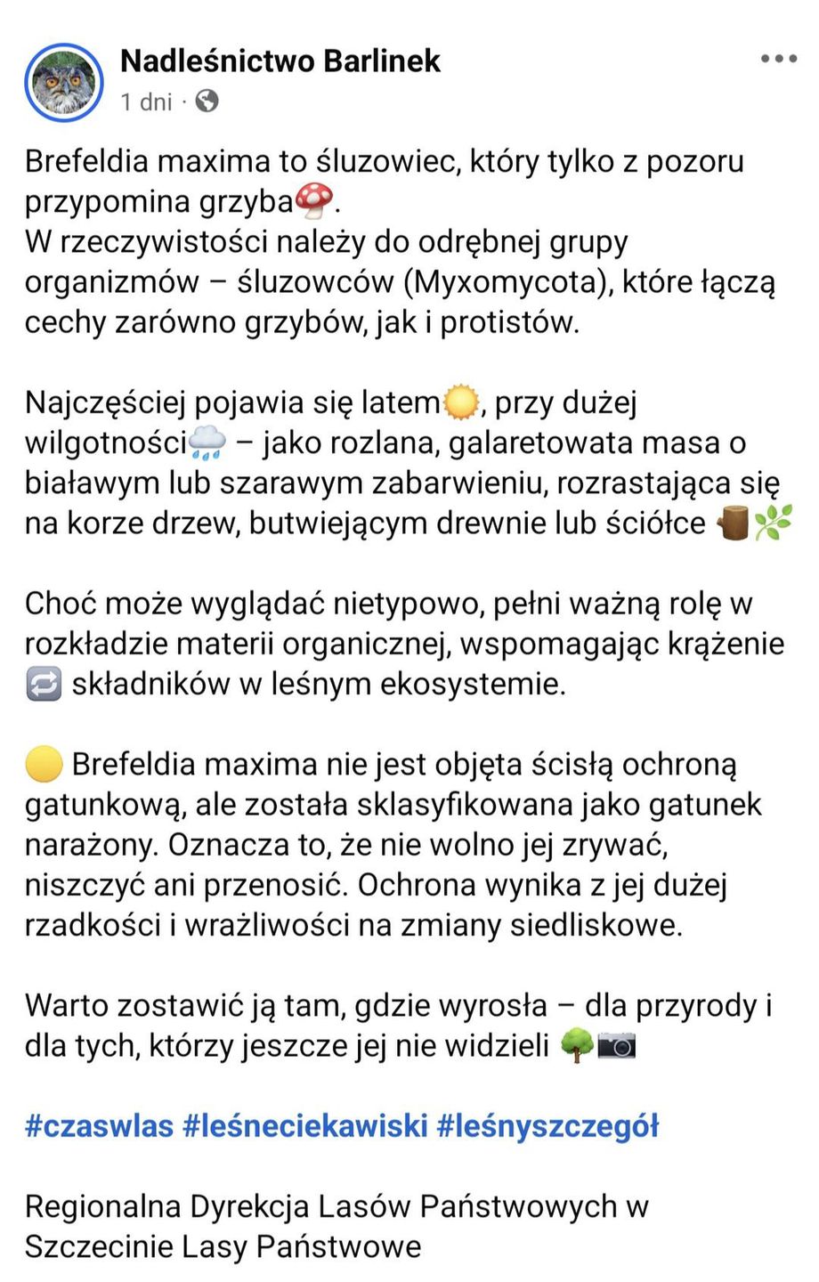 Leśnicy wyjaśnili ważne zasady